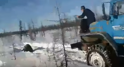 Завершено расследование уголовного дела о расправе над хищником в якутской тундре