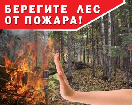 Режим ЧС в лесах введен на территориях Усть-Алданского и Усть-Майского районов