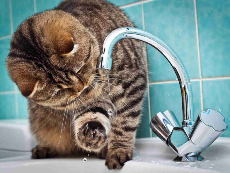 Сегодня в Якутске отключат холодную воду