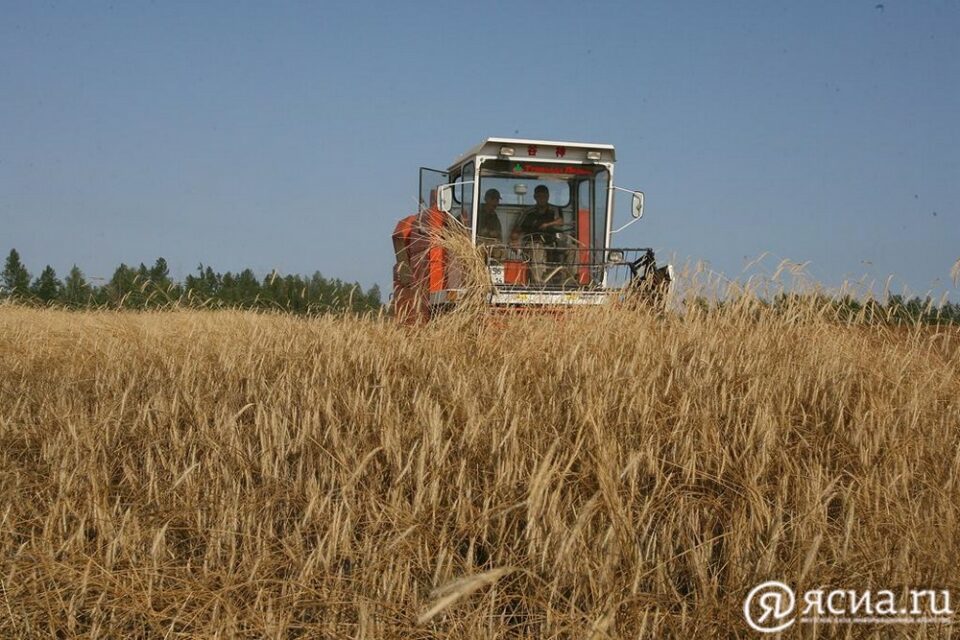 Депутат Госдумы: Россия может обеспечить себя всеми видами продовольствия даже в санкционных условиях