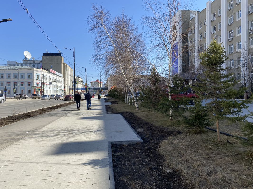 Озеленение города – в центре внимания жителей и властей Якутска 