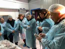 Агрохолдинг «Туймаада» провел очередной Межрегиональный семинар по вопросам развития животноводства