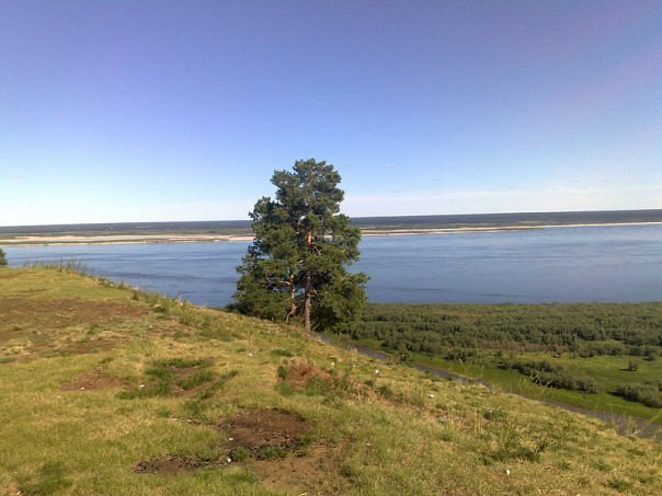 О правилах безопасности при угрозе летнего паводка