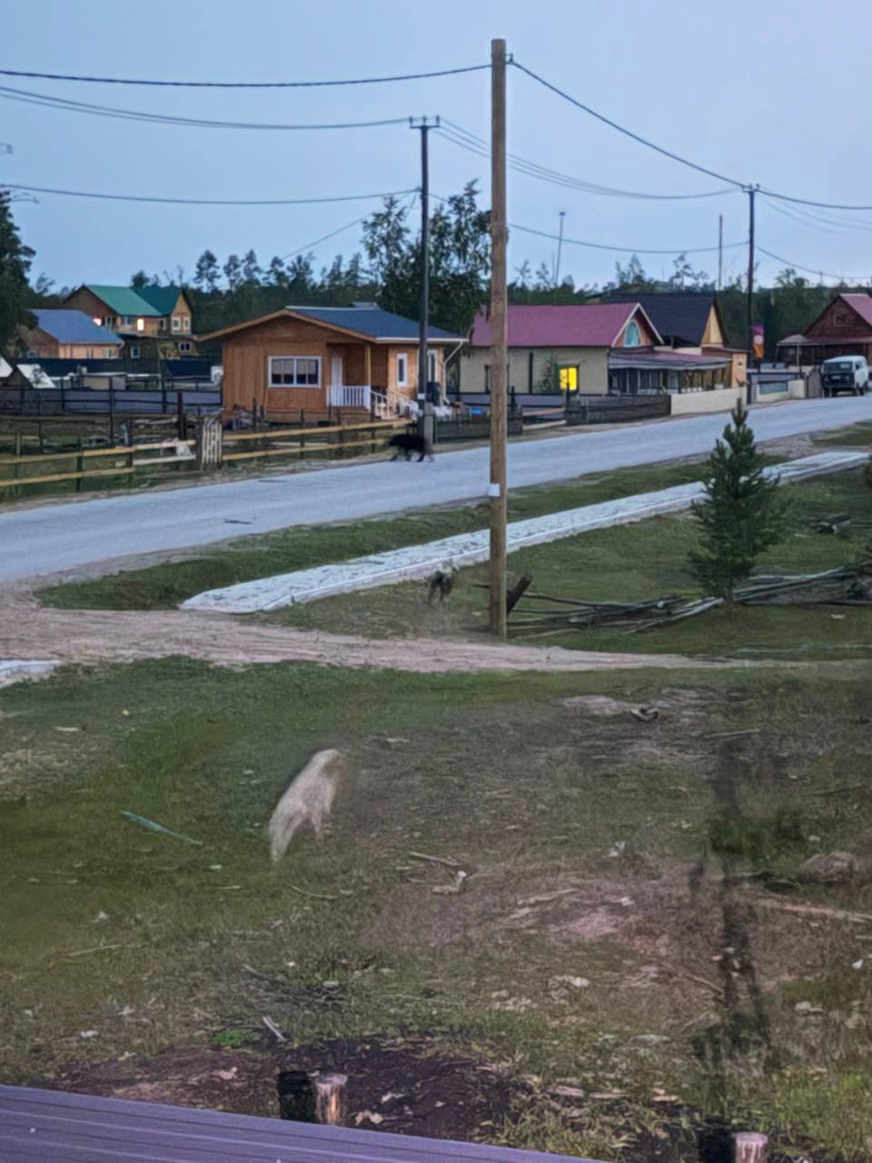Тыатааҕы дьону аймаабыт