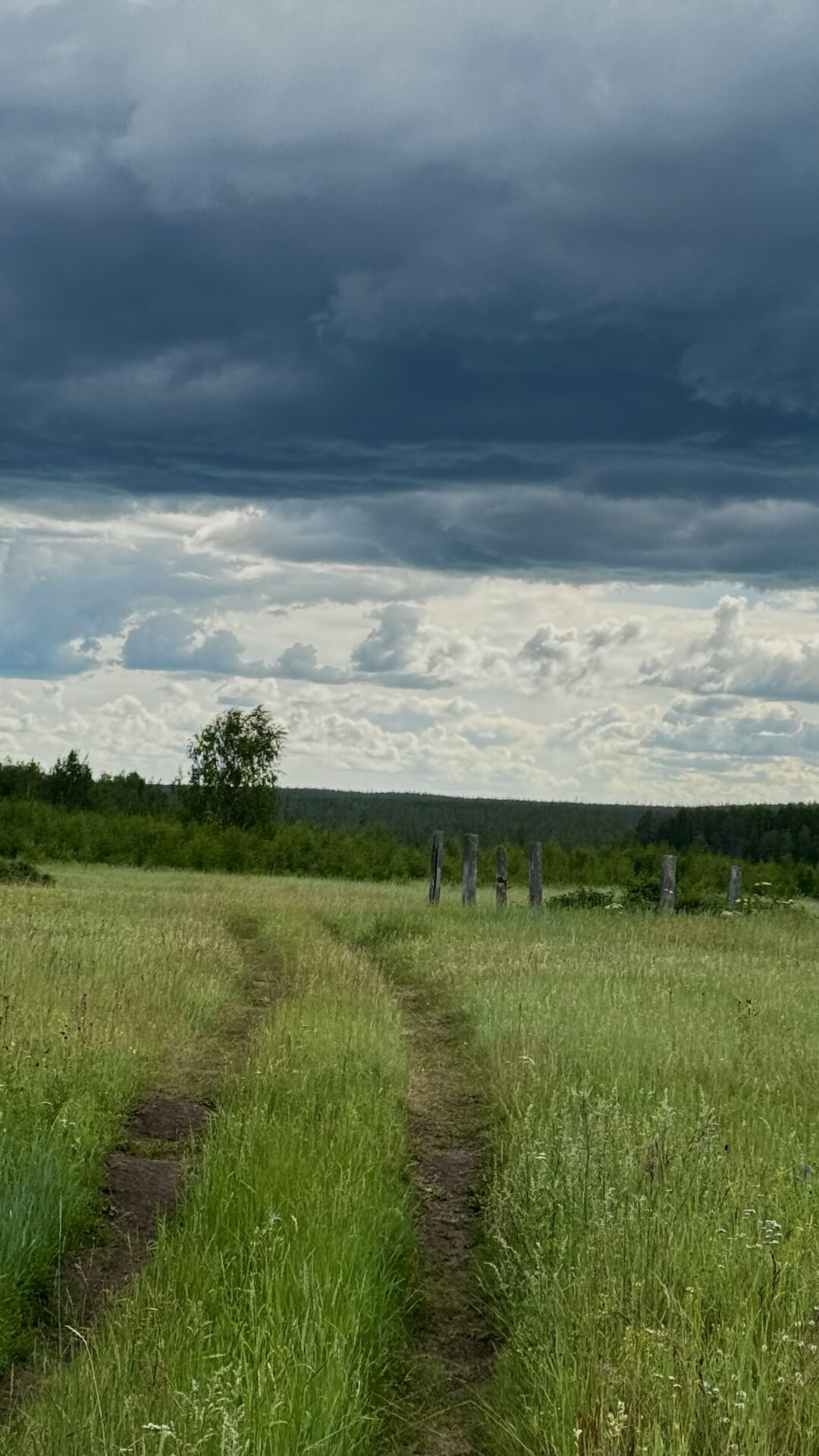 “ХОБОЛООХ  СУОЛ”