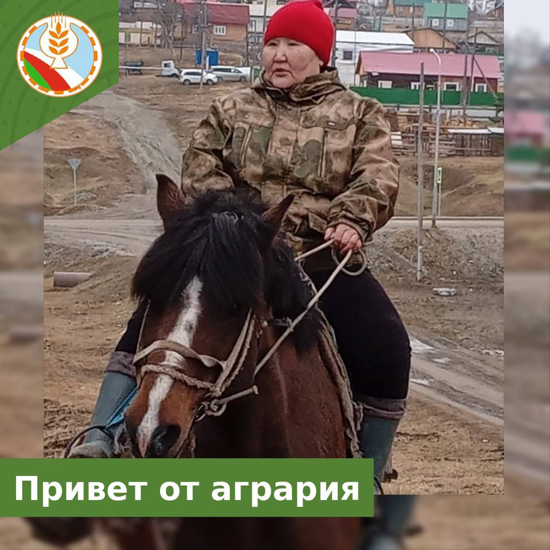 «Бөртө сылгы собуотун»  племенной хаһаайыстыба биригэдьиирэ Ульяна  Семенова