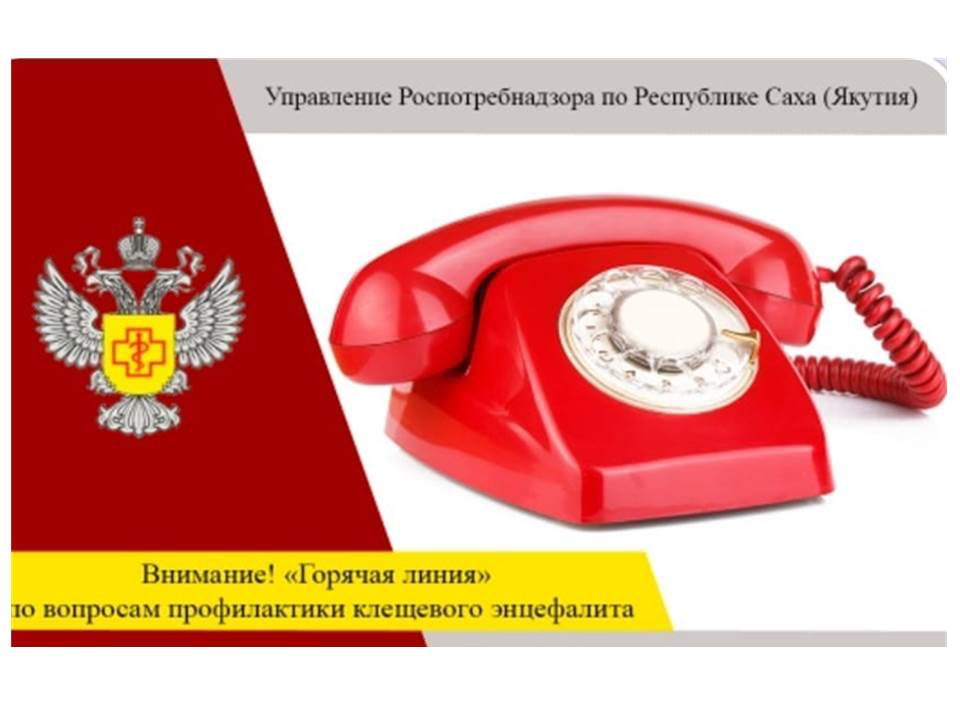 С 28 апреля по 11 мая 2025 года Управление Роспотребнадзора по Республике Саха (Якутия) проводит «горячую линию» по вопросам профилактики клещевого энцефалита