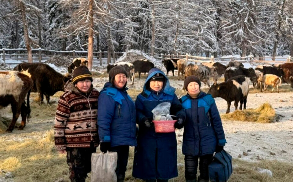 Сунтаарга биэс саха сүөһүтэ үһүс сылын хотоҥҥо киирбэккэ таһырдьа кыстаата