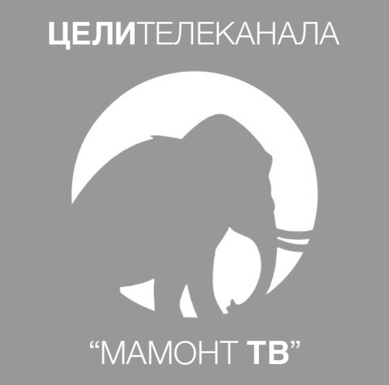 БИИР  ТҮГЭНТЭН  САНААЛАР
