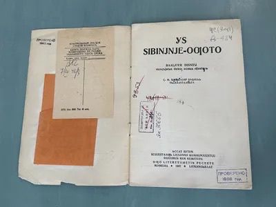 Былыргы сахалыы кинигэҕэ Уолт Дисней мультигын тылбааһа бэчээттэммит эбит