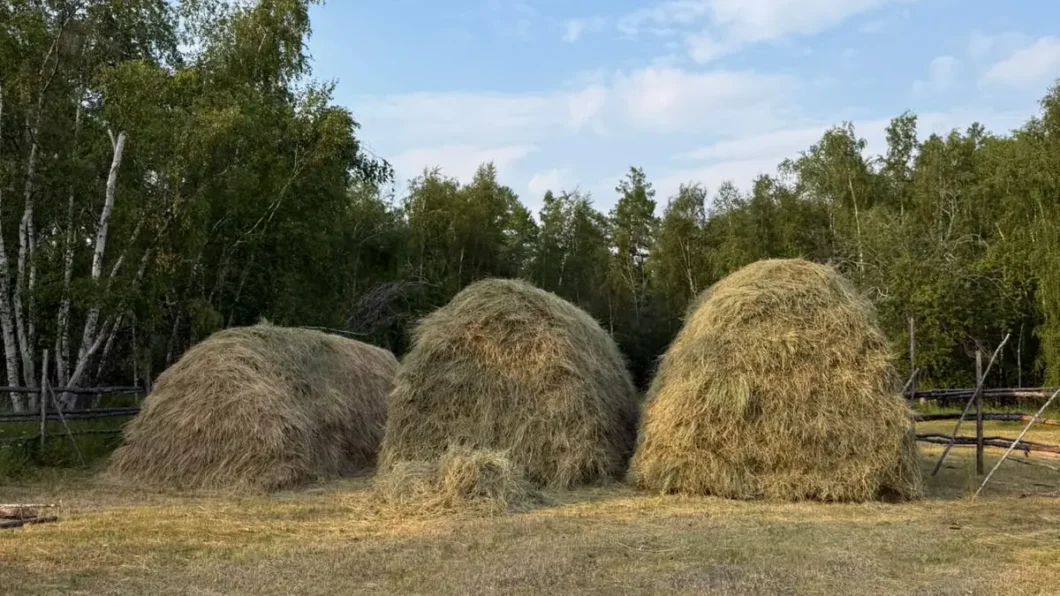 Бу өрөбүллэргэ  сайын сатыылыаҕа